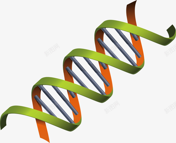 DNA分子结构png免抠素材_新图网 https://ixintu.com DNA分子 创意 卡通手绘 水彩 绿色 螺旋状