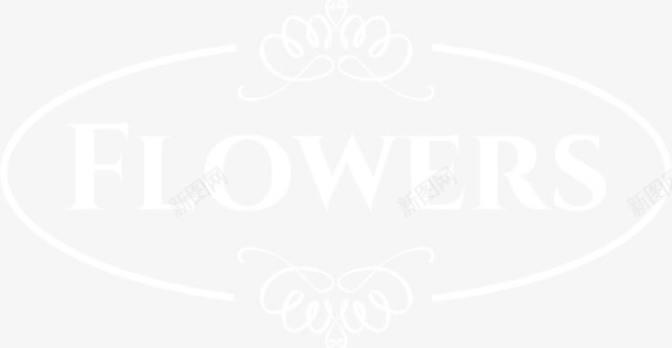 白色线条字母png免抠素材_新图网 https://ixintu.com 字母 文艺 标签 植物 清新 白色 简约 线条 艺术字