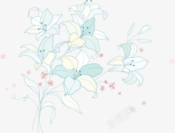 漂亮的百合花百合花束手绘百合花矢量图高清图片