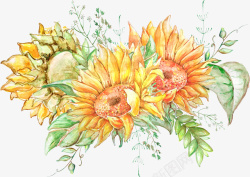 向日葵叶子手绘向日葵装饰图高清图片