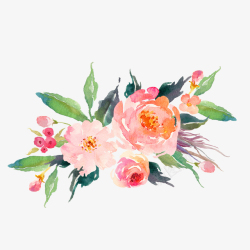 彩色水彩粉色花卉手绘彩色水彩花朵素高清图片