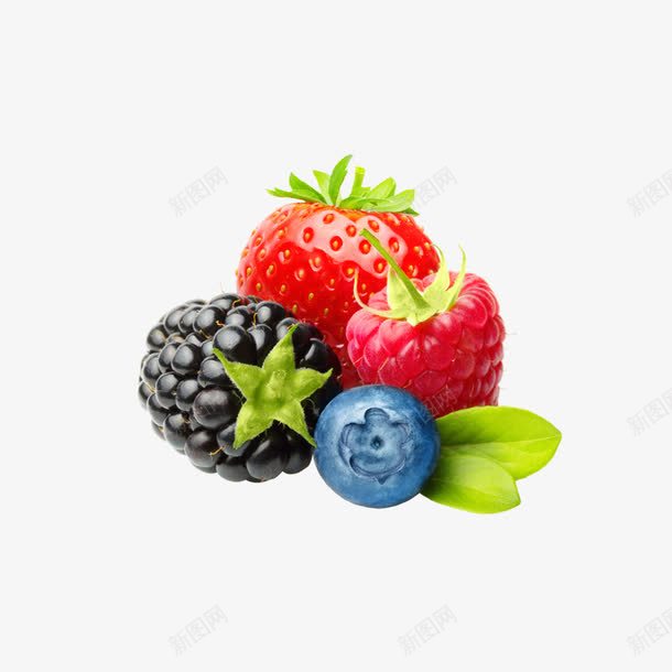 草莓蓝莓新鲜水果png免抠素材_新图网 https://ixintu.com 水果 水果酵素 草莓 草莓蓝莓新鲜水果 蓝莓 餐饮广告png