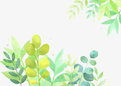 一条树枝水彩插画春天植物水彩插画高清图片