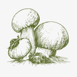 香菇鸡块面手绘素描蘑菇矢量图高清图片