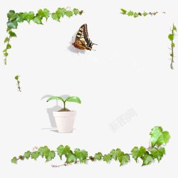 蝴蝶的海报绿色植物藤蔓蝴蝶边框海报背景高清图片