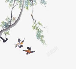 国画飞鸟中国画树下飞鸟高清图片