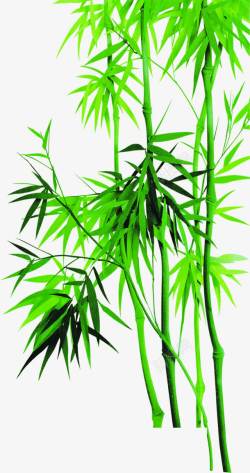 绿色竹子叶子竹叶端午节素材