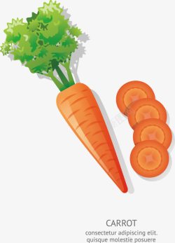 扁平化饮食素材胡萝卜高清图片