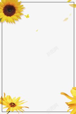 木质边框画向日葵花朵花瓣边框高清图片