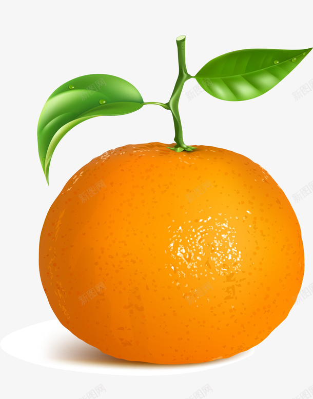 橙色简约水果png免抠素材_新图网 https://ixintu.com 桔子 橘子 橙子 橙色水果 清新美食 简约果实 美食 装饰图案 食品