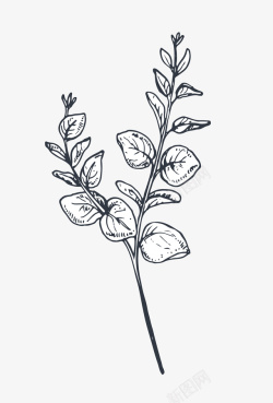 黑白弓箭印花线描植物树叶高清图片