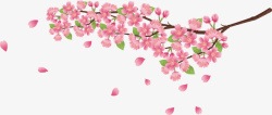 粉色美丽春季花枝素材