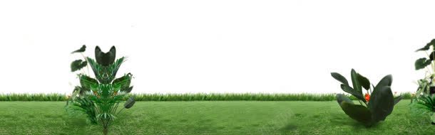 春季背景jpg设计背景_新图网 https://ixintu.com 小清新 海报 淘宝模板下载 淘宝素材 淘宝设计 绿色 草地