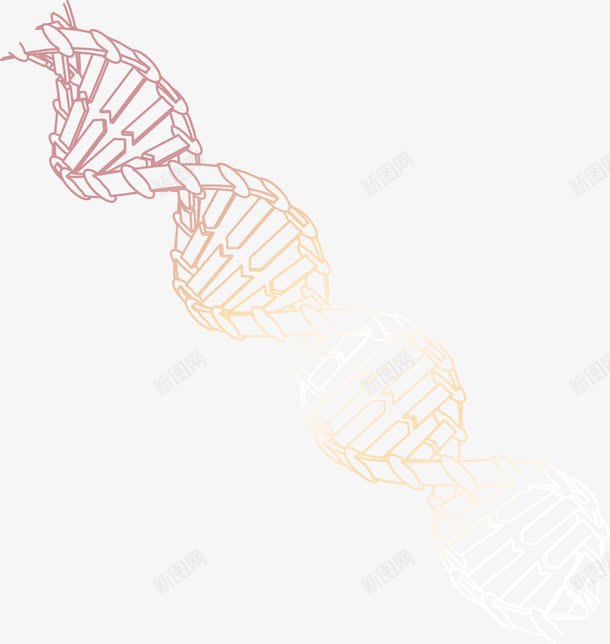 dnapng免抠素材_新图网 https://ixintu.com dna 分子 化学成分 原子 基因 实验 科学