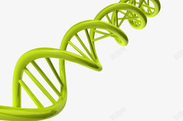 DNA螺旋png免抠素材_新图网 https://ixintu.com dna 分子 化学成分 原子 基因 实验 科学