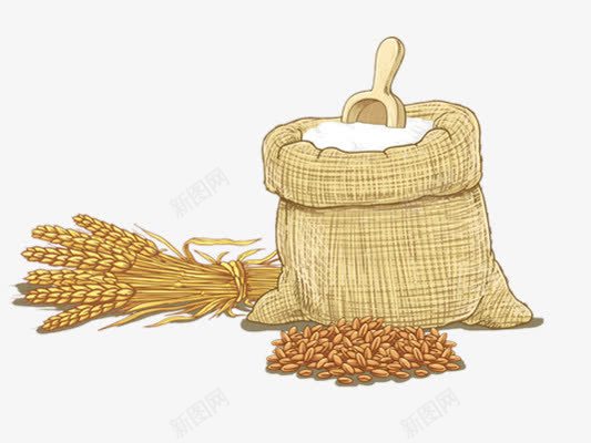 小麦png免抠素材_新图网 https://ixintu.com 手绘小麦 粗粮 美食 面粉 食物