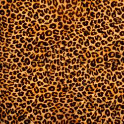 豹纹布料摄影图片豹纹摄影高清图片