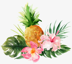 绿叶菠萝创意的菠萝花朵手绘高清图片