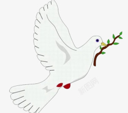 叼着树枝的鸽子手绘卡通白色太平鸽高清图片