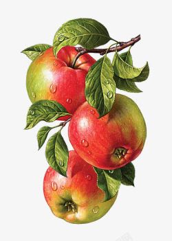 丰富的水果油画苹果油画高清图片