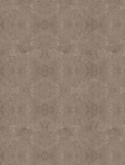 欧美棕色欧式复古大床欧式背景高清图片