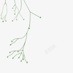 绿色线条伸展藤蔓花枝素材