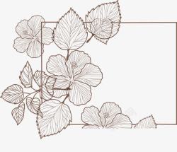 手绘线条夏日花朵装饰框素材