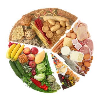 饮食规划png免抠素材_新图网 https://ixintu.com 杂粮 果蔬 维生素 美食 肉类 蛋白质 规划 食材 食物