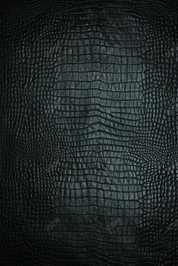 黑色蛇皮背景图片免费下载-素材7mieVePVP-新图网