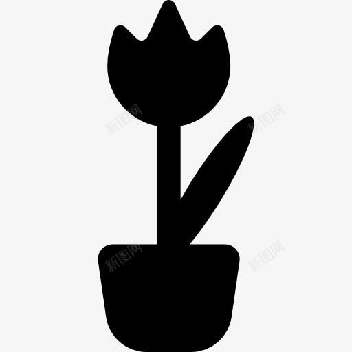 花卉盆栽图标png_新图网 https://ixintu.com 家居装饰 植物 自然 花卉 花盆 装饰