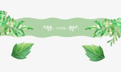 护肤品首页海报绿色手绘植物高清图片