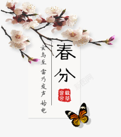 二十四节气之春分花枝与蝴蝶主题素材