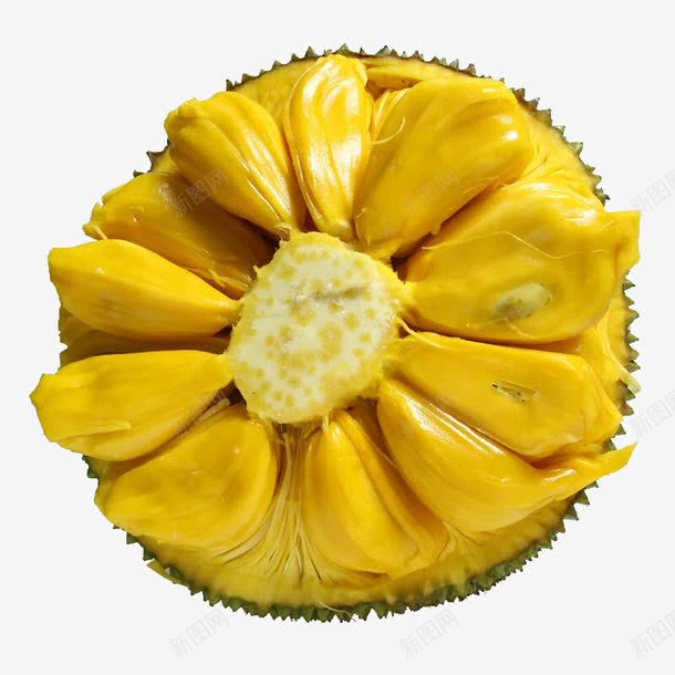 菠萝蜜png免抠素材_新图网 https://ixintu.com 果肉 热带水果 甜品 美食 菠萝蜜 菠萝蜜切面 黄色