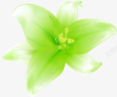 绿色花朵店铺名片png免抠素材_新图网 https://ixintu.com 名片 店铺 绿色 花朵