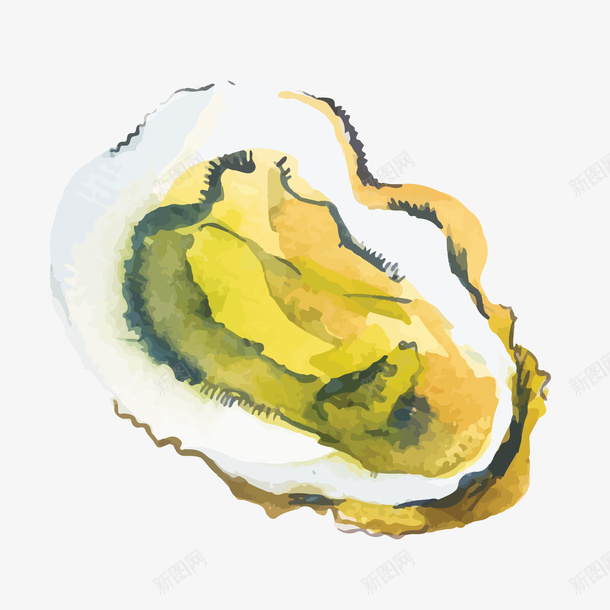 牡蛎黄色手绘图案png免抠素材_新图网 https://ixintu.com 手绘 毛笔风 水墨 水彩 海产 海鲜 牡蛎 生物 黄色