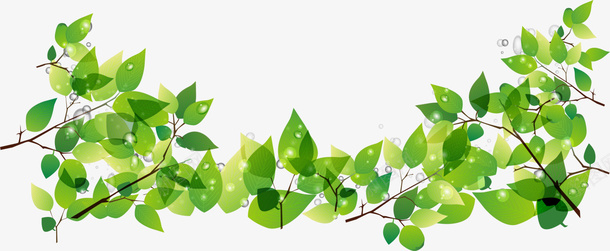 绿色春季树叶植物png免抠素材_新图网 https://ixintu.com 春天 春季 春日 树叶 植物 绿化 自然 草丛