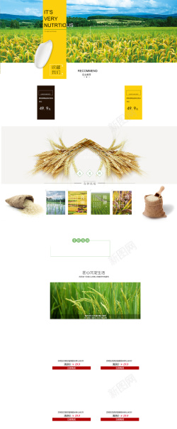 大米首页粮油米面食品促销店铺首页高清图片