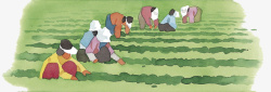 卡通插图农地种植水彩插图收割粮食高清图片