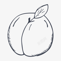 手绘的水蜜桃素材