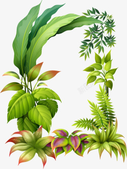 热带植物边框手绘树叶边框矢量图高清图片