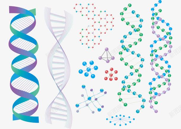 平面基因图矢量图ai免抠素材_新图网 https://ixintu.com AI格式 DNA 分子 基因 氨基酸 科学 设计 矢量图