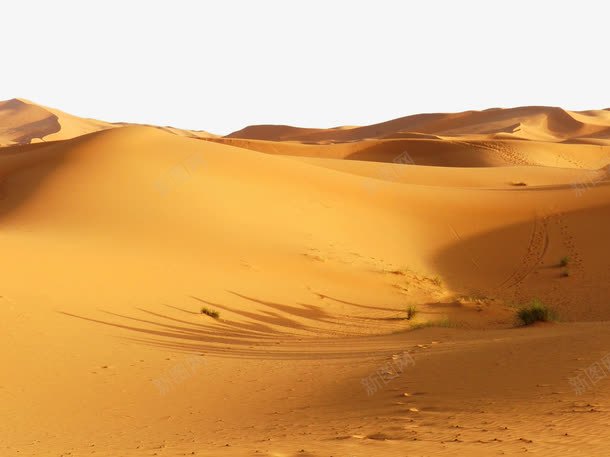 黄色沙漠png免抠素材_新图网 https://ixintu.com 地面 沙尘 沙漠 灰尘 背景装饰 黄色