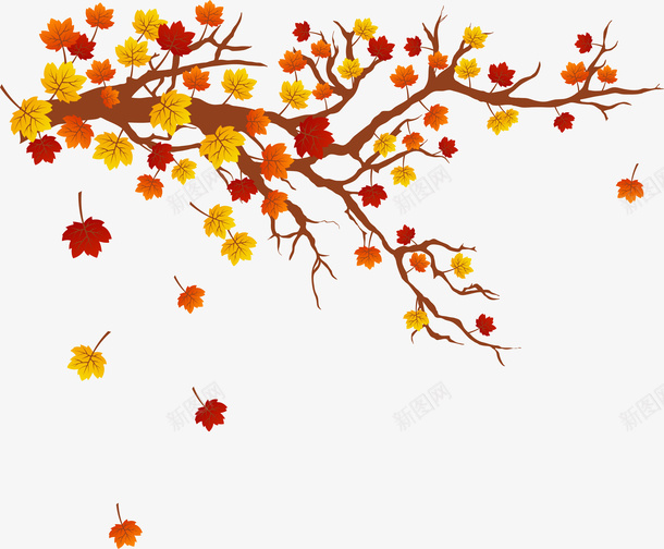 秋季飘落的枫叶png免抠素材_新图网 https://ixintu.com 枫叶 植物 落叶 装饰