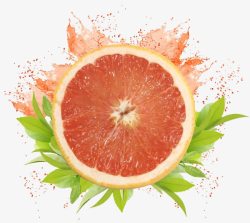 葡萄图片免费下载西柚水果装饰高清图片
