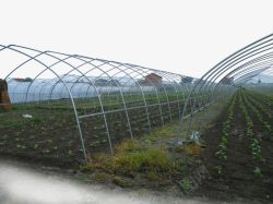 生态农业生态农业日光温室大棚高清图片