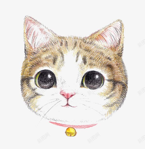 卡通猫咪png免抠素材_新图网 https://ixintu.com 卡通 大眼睛 彩铅 手绘 棕色 水彩 猫咪 装饰