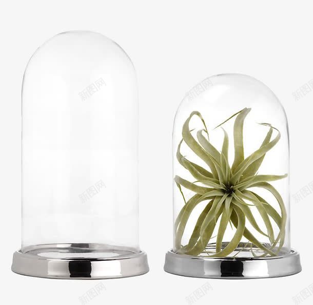 西洋玻璃罩住的植物微景观png免抠素材_新图网 https://ixintu.com 半透明 微景观 玻璃罩