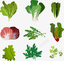 绿色橡胶树集合健康蔬菜集合矢量图高清图片