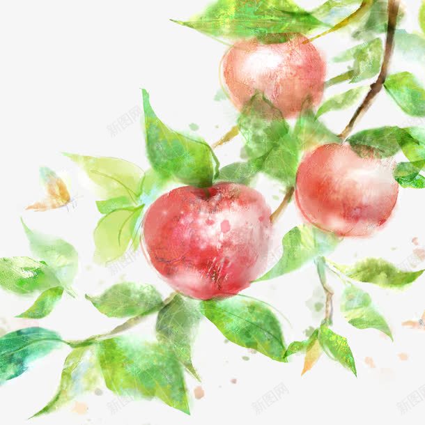 水彩苹果树png免抠素材_新图网 https://ixintu.com 水彩 水彩苹果树 红红 苹果树