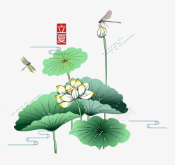 立夏节气水彩装饰插画荷塘与蜻蜓素材